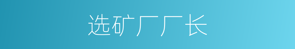 选矿厂厂长的同义词