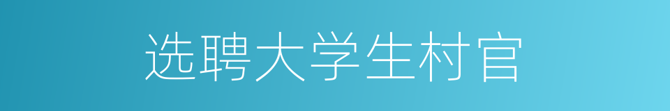 选聘大学生村官的同义词