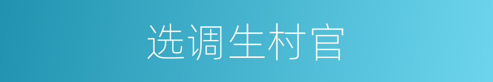 选调生村官的同义词