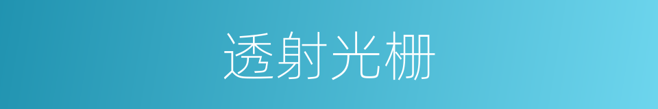透射光栅的同义词