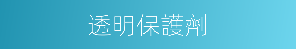 透明保護劑的同義詞