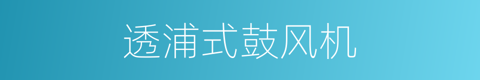 透浦式鼓风机的同义词
