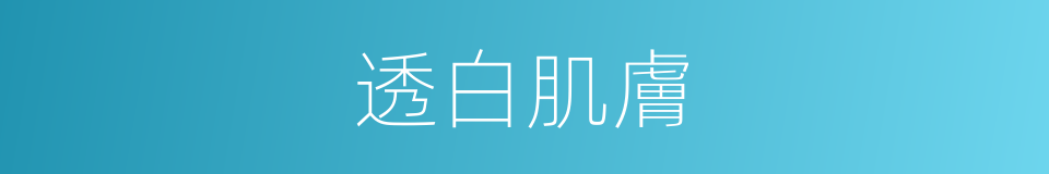 透白肌膚的同義詞