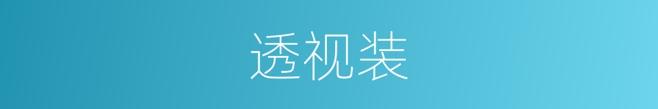 透视装的同义词