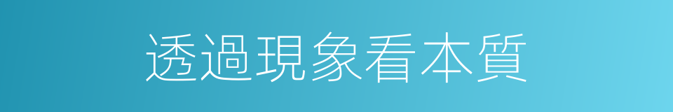 透過現象看本質的同義詞