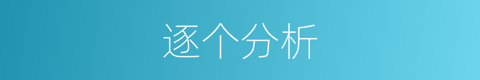 逐个分析的同义词