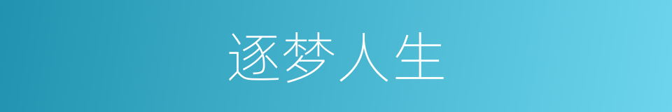 逐梦人生的同义词