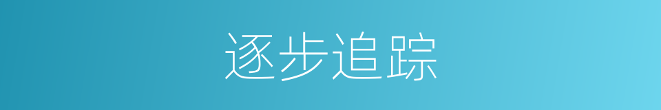 逐步追踪的同义词