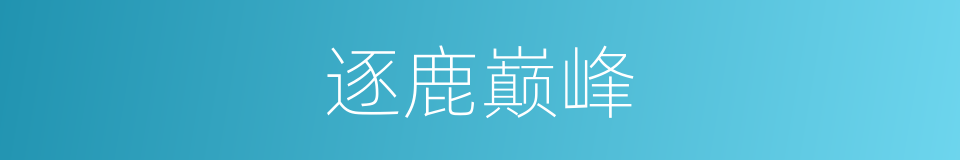 逐鹿巅峰的同义词