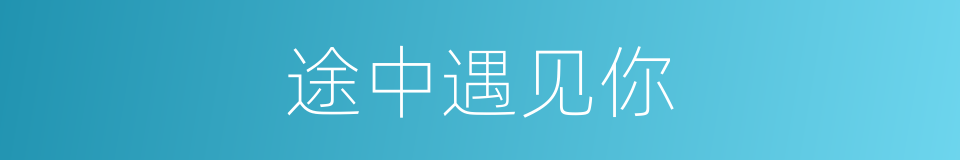 途中遇见你的同义词