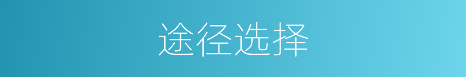 途径选择的同义词