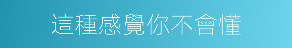 這種感覺你不會懂的同義詞