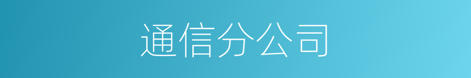 通信分公司的同义词