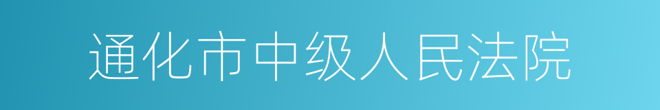 通化市中级人民法院的同义词