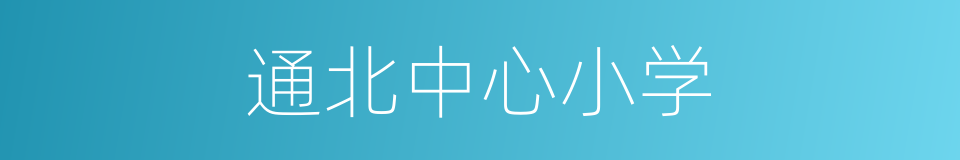 通北中心小学的同义词