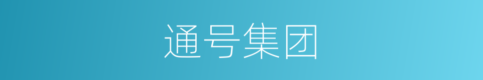通号集团的同义词