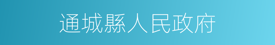 通城縣人民政府的同義詞