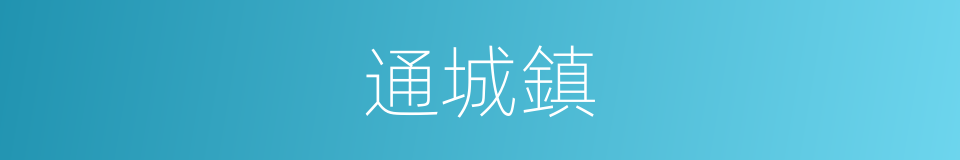 通城鎮的同義詞