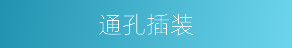 通孔插装的同义词