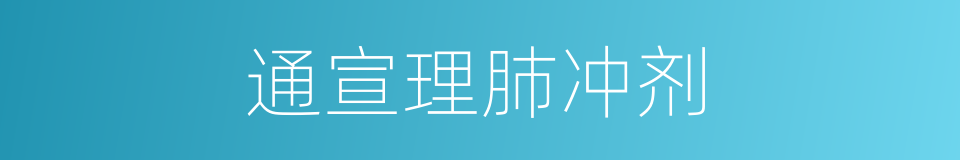 通宣理肺冲剂的同义词