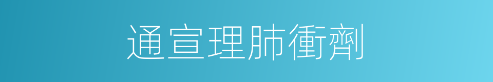 通宣理肺衝劑的同義詞