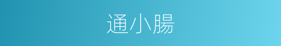 通小腸的同義詞