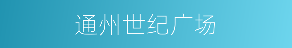 通州世纪广场的同义词