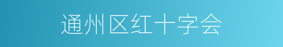 通州区红十字会的同义词