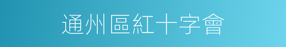 通州區紅十字會的同義詞