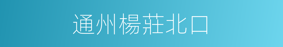 通州楊莊北口的同義詞