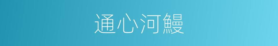 通心河鰻的同義詞