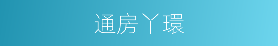 通房丫環的意思