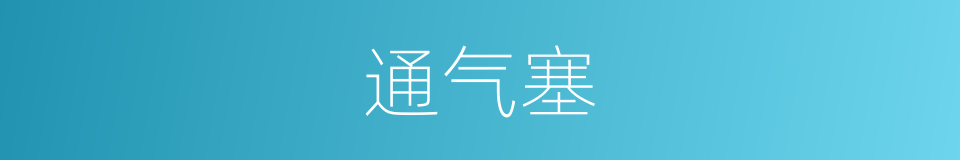 通气塞的同义词