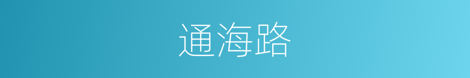 通海路的同义词