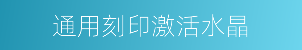通用刻印激活水晶的同义词