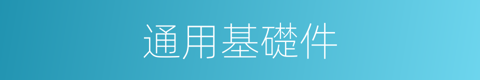 通用基礎件的同義詞