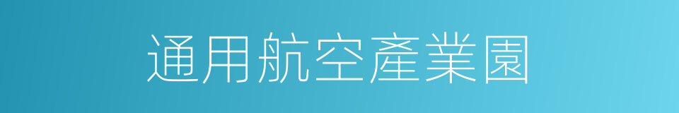 通用航空產業園的同義詞