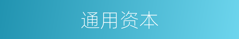 通用资本的同义词