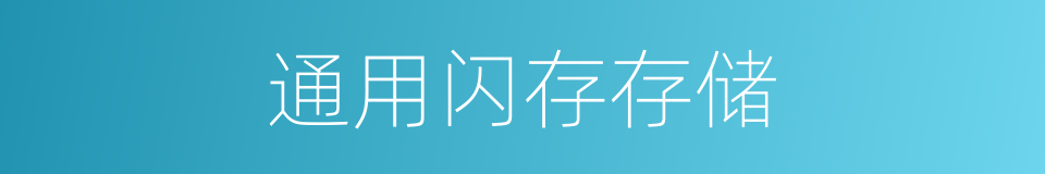 通用闪存存储的同义词