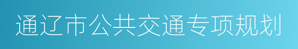 通辽市公共交通专项规划的同义词