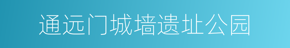 通远门城墙遗址公园的同义词