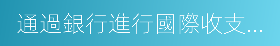 通過銀行進行國際收支統計申報業務實施細則的同義詞