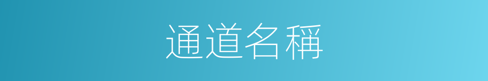 通道名稱的同義詞