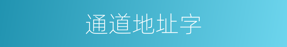 通道地址字的同义词