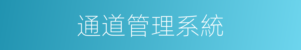 通道管理系統的同義詞