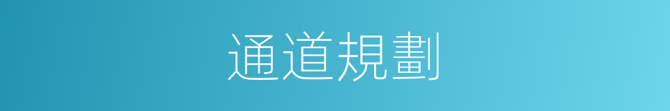 通道規劃的同義詞