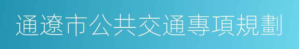 通遼市公共交通專項規劃的同義詞