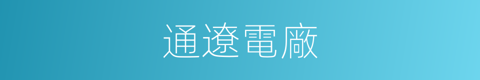 通遼電廠的同義詞