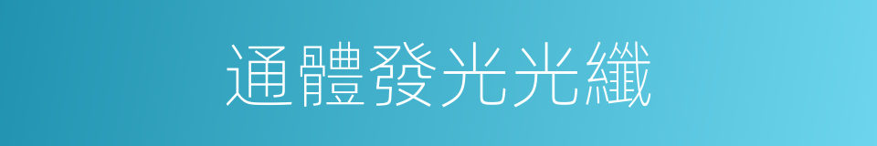 通體發光光纖的同義詞