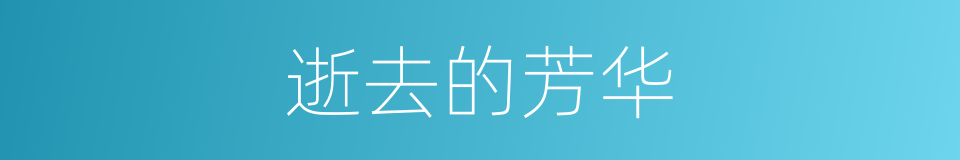 逝去的芳华的同义词